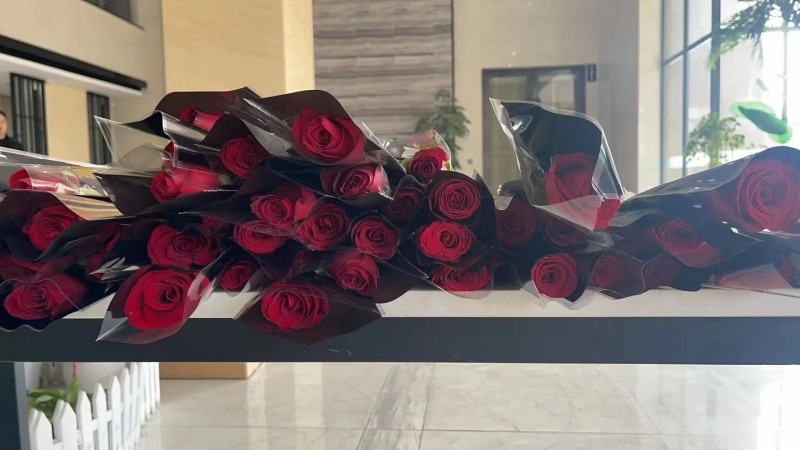 روز زنان مبارک از YMOUUTDOOR